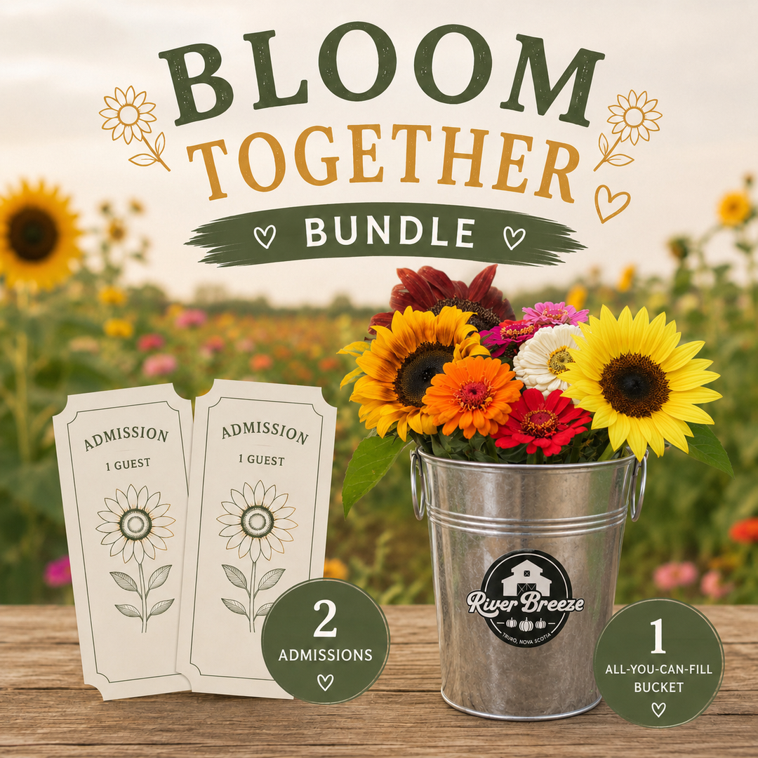Bloom Together Bundle!