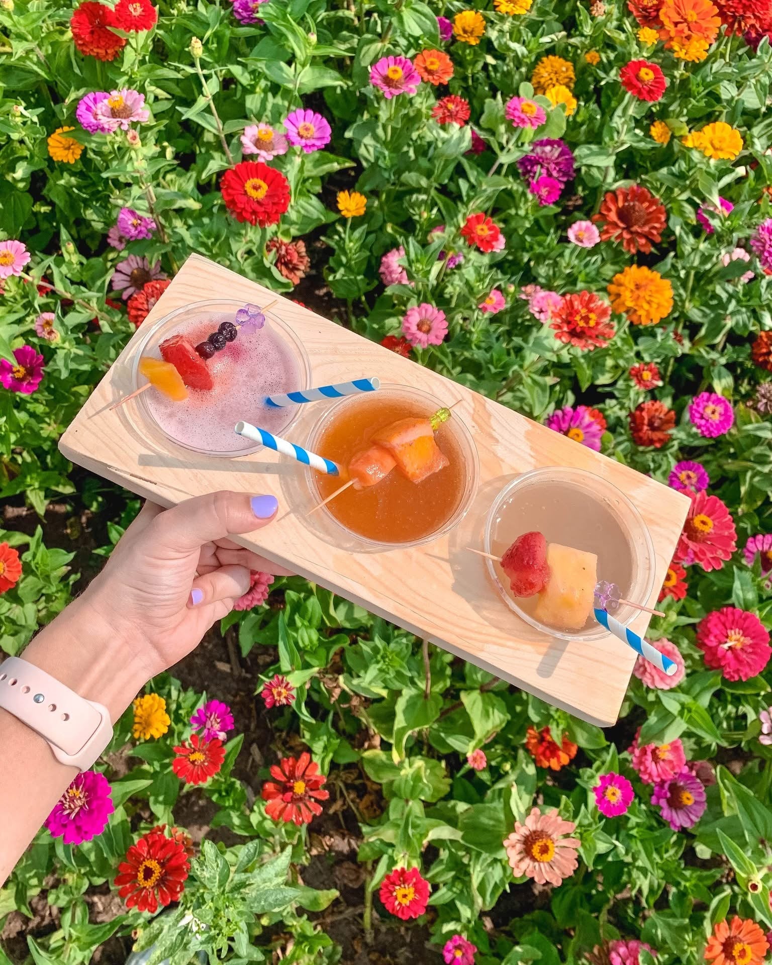 Hand holding a wooden tray with drinks against a colorful flower background. You-Pick Flower Festival at RiverBreeze Farm