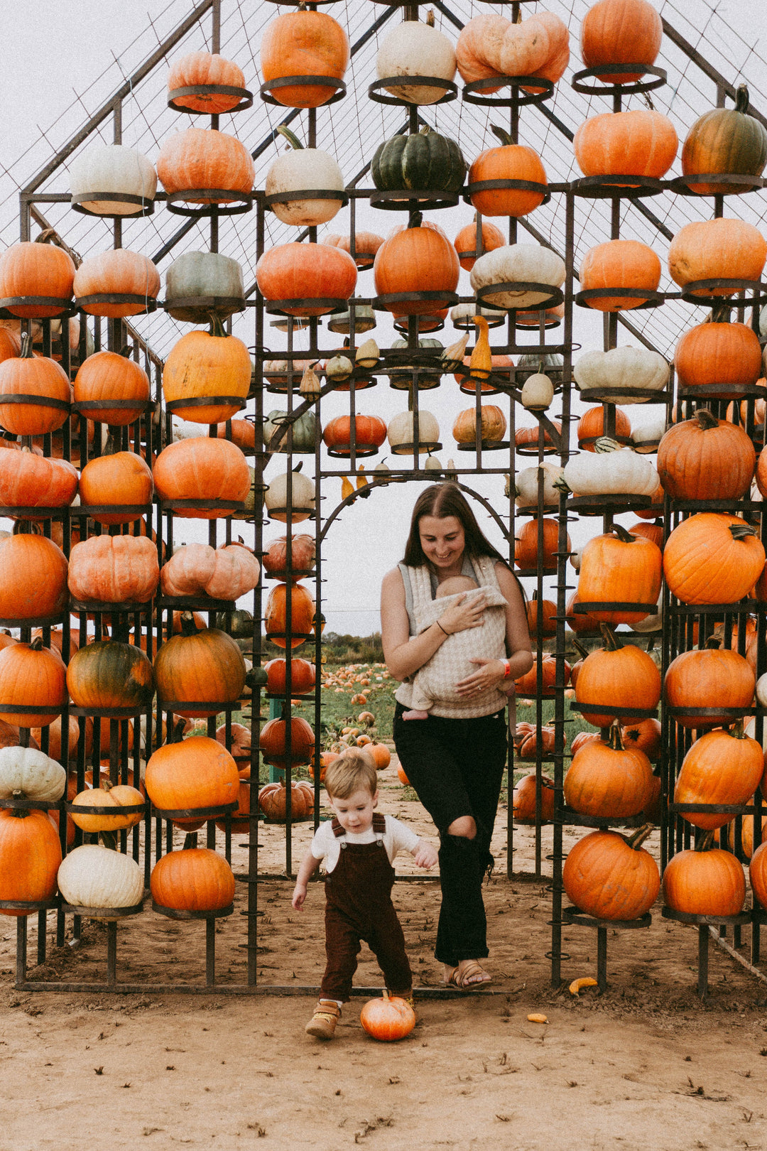 Fall Festival 2026!