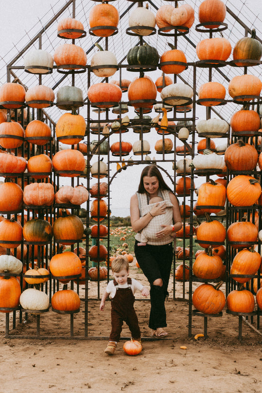 Fall Festival 2026!