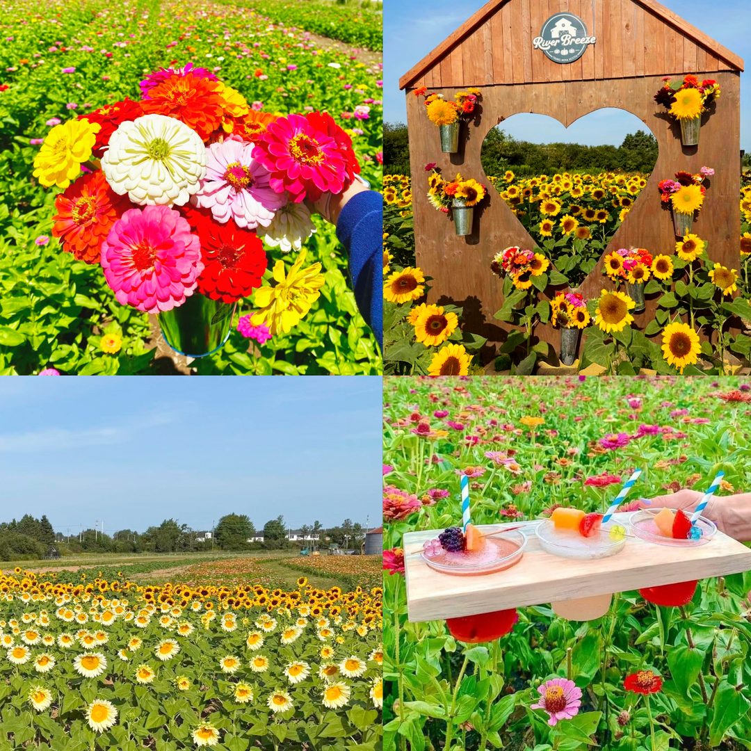 Nova Scotia Flower Fest 2026