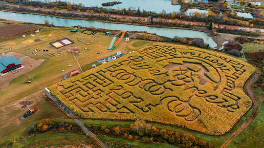 Fall Festival 2026!