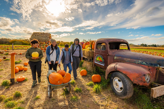 Fall Festival 2025!