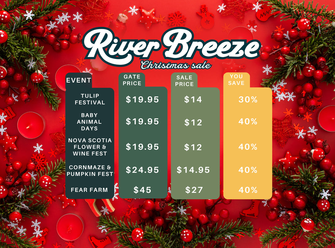 Christmas sale pricing at Riverbreeze Farm