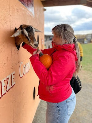 attractionsholeygoats_wBBJ.jpg