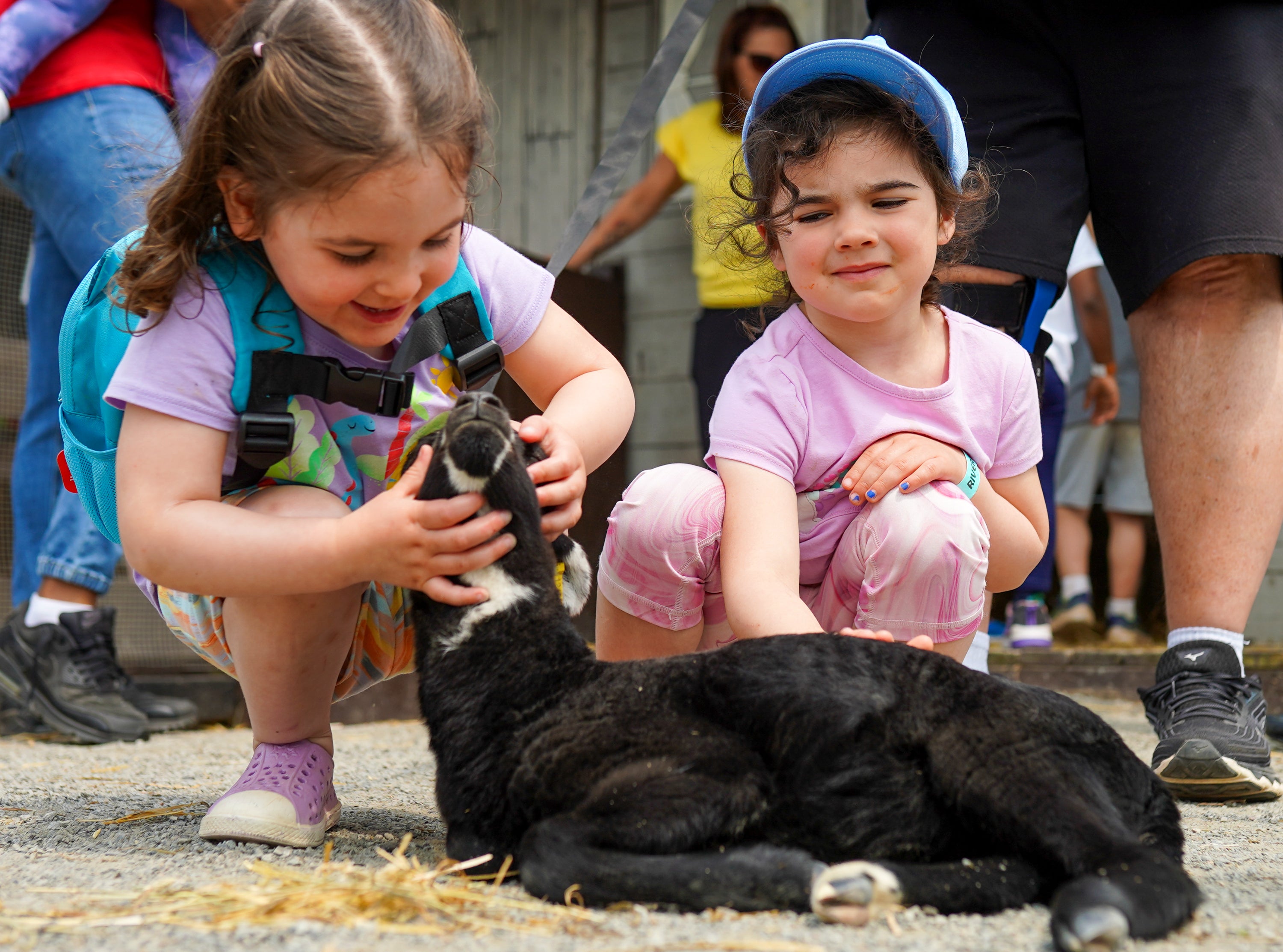 littlegirlswithbabygoatedited_9vNx.jpg