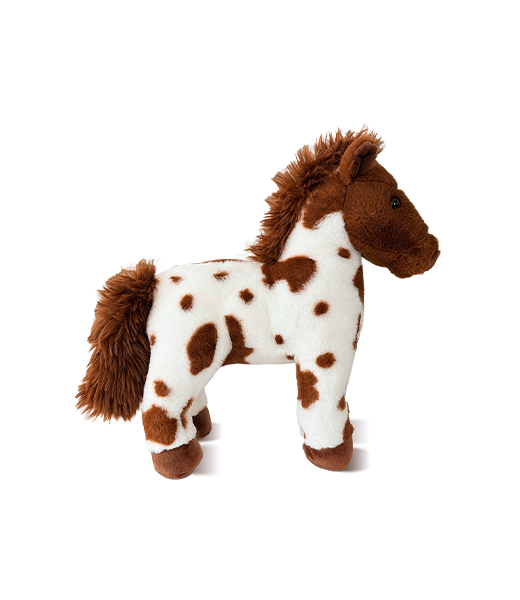 “Picasso” the paint Horse